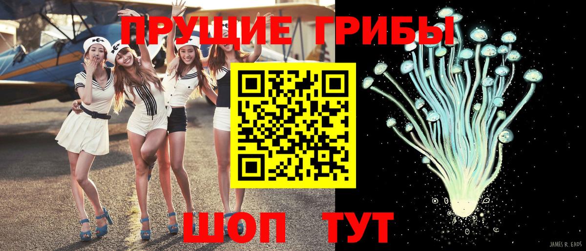 Псилоцибиновые грибы мицелий Сызрань