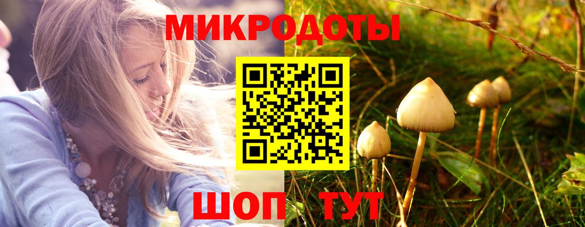 наркотики  Псилоцибиновые грибы MAGIC MUSHROOMS  Вход с VPN  Галлюциногенные грибы MAGIC MUSHROOMS  Сызрань 